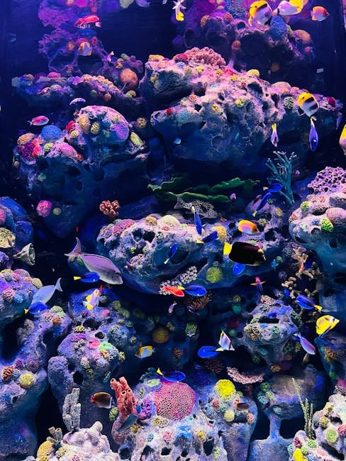 Bright tropical fish swimming amidst a vibrant coral reef in a beautifully lit aquarium.