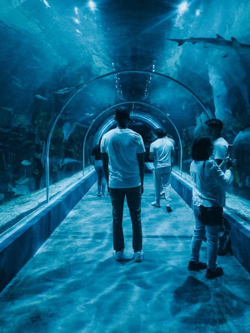 People walking through an aquarium tunnel with sharks swimming above in Mexico City.