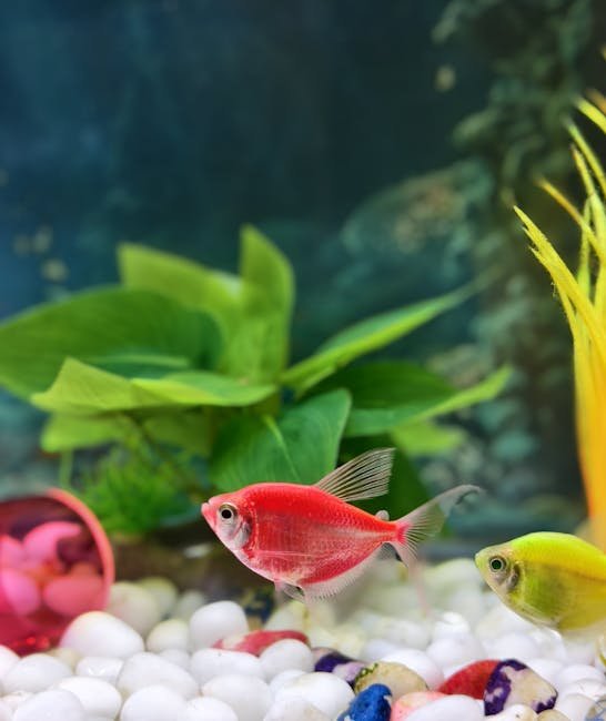 Colorful aquarium with vibrant fish swimming among plants and pebbles in a lively setting.