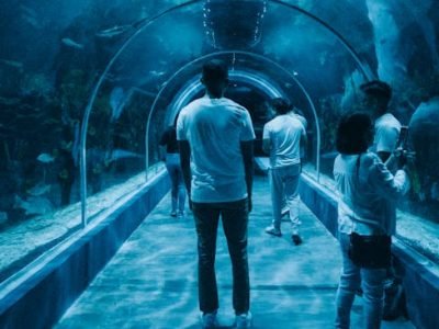 People walking through an aquarium tunnel with sharks swimming above in Mexico City.